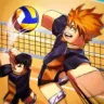 Volleyball Legends